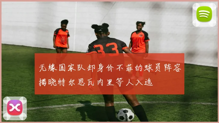 无缘国家队却身价不菲的球员阵容揭晓特尔恩瓦内里等人入选