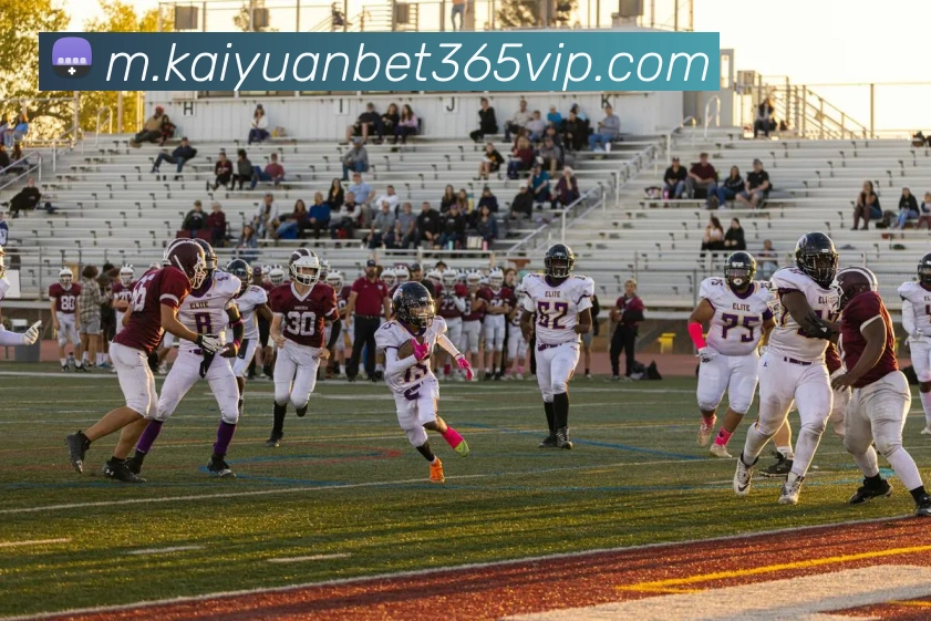 App Interface Preview